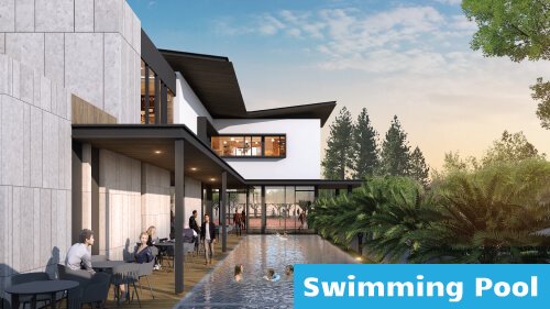 swimming-pool-anandaya-synthesis-development