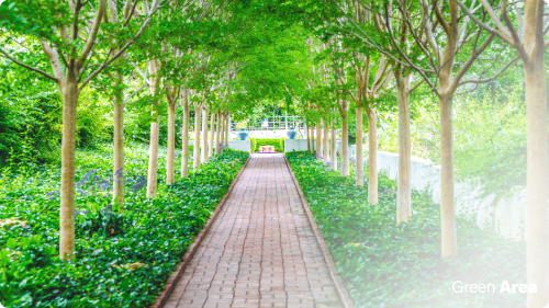 green-area-aksara-homes